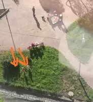 Анна Владимировна, изображение к комментарию.