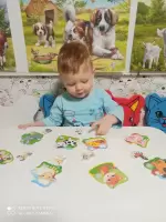 Юлия Кузьмина, изображение к комментарию.